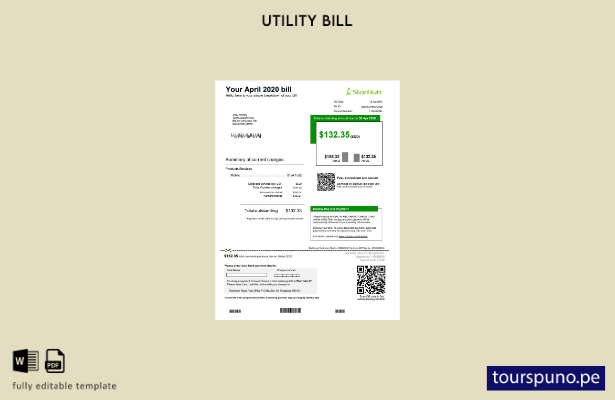 lista para imprimir la plantilla de factura de servicios públicos StarHub de Sin